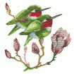 Valerie Pfeiffer Hummingbirds Embroidery Designs on a Multi-Format CD-ROM CMC-VP3