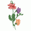 Valerie Pfeiffer Hummingbirds Embroidery Designs on a Multi-Format CD-ROM CMC-VP3