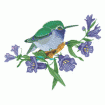 Valerie Pfeiffer Hummingbirds Embroidery Designs on a Multi-Format CD-ROM CMC-VP3