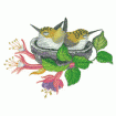 Valerie Pfeiffer Hummingbirds Embroidery Designs on a Multi-Format CD-ROM CMC-VP3
