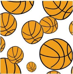 Basketball - Kiwi Embroidery Paper - One 8.5in x 11in Sheet