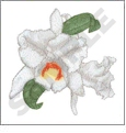 Orchids Embroidery Designs by Dakota Collectibles on a CD-ROM 970177