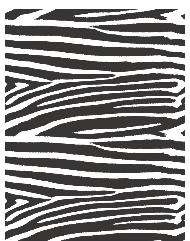 Zebra 01 - QuickStitch Embroidery Paper - One 8.5in x 11in Sheet- CLOSEOUT