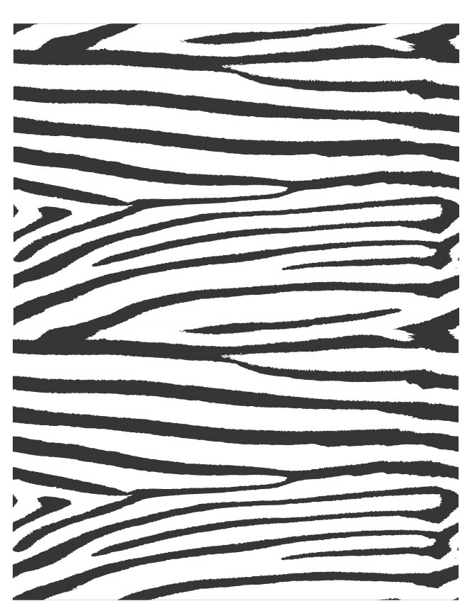 Zebra 02 - QuickStitch Embroidery Paper - One 8.5in x 11in Sheet- CLOSEOUT