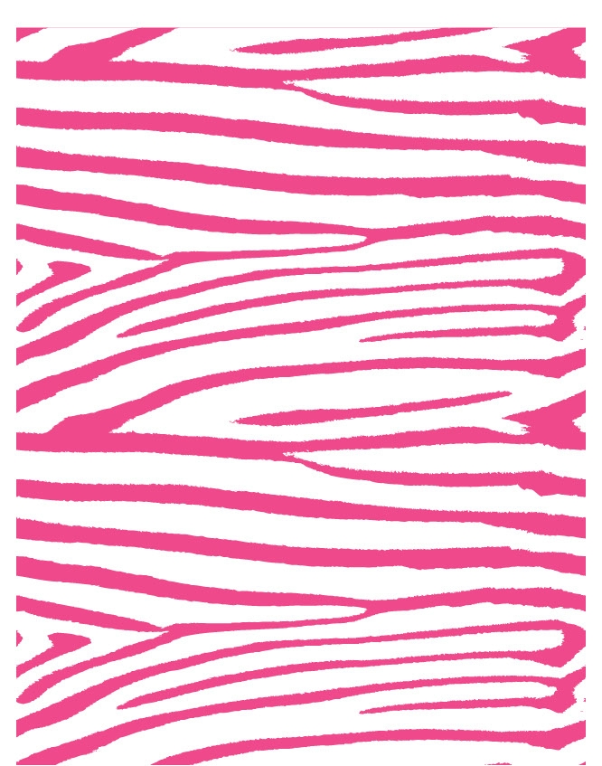 Zebra 04 - QuickStitch Embroidery Paper - One 8.5in x 11in Sheet - CLOSEOUT