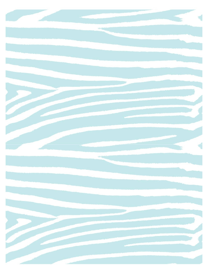 Zebra 07 - QuickStitch Embroidery Paper - One 8.5in x 11in Sheet - CLOSEOUT