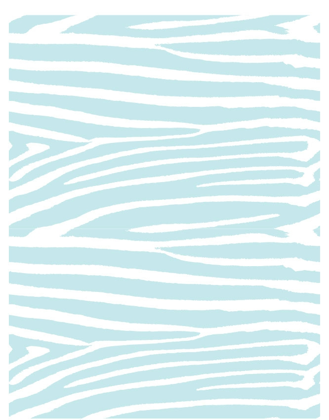 Zebra 07 - QuickStitch Embroidery Paper - One 8.5in x 11in Sheet - CLOSEOUT