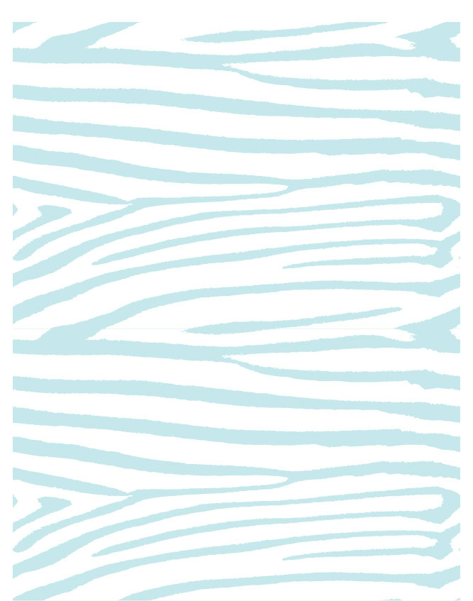 Zebra 08 - QuickStitch Embroidery Paper - One 8.5in x 11in Sheet - CLOSEOUT