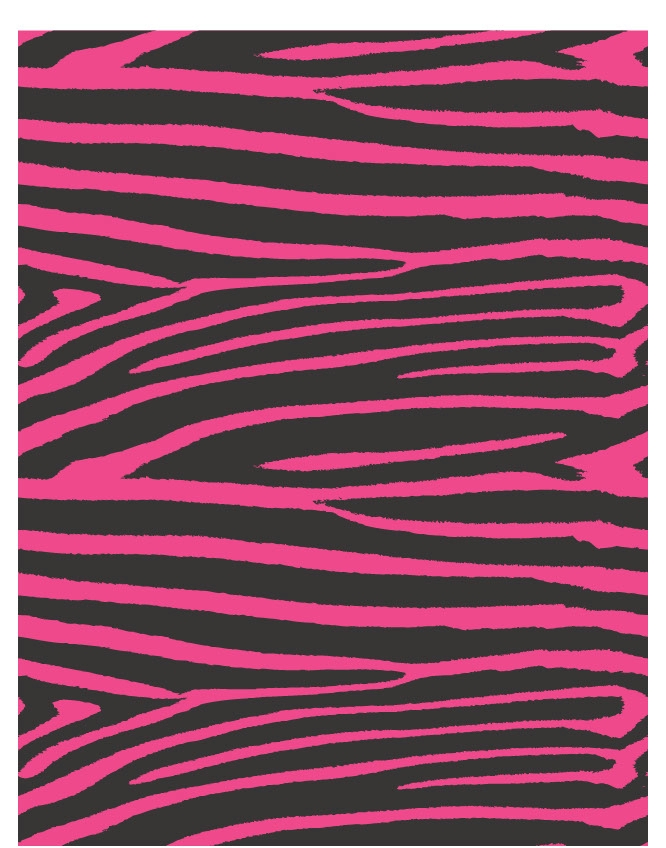 Zebra 10 - QuickStitch Embroidery Paper - One 8.5in x 11in Sheet- CLOSEOUT