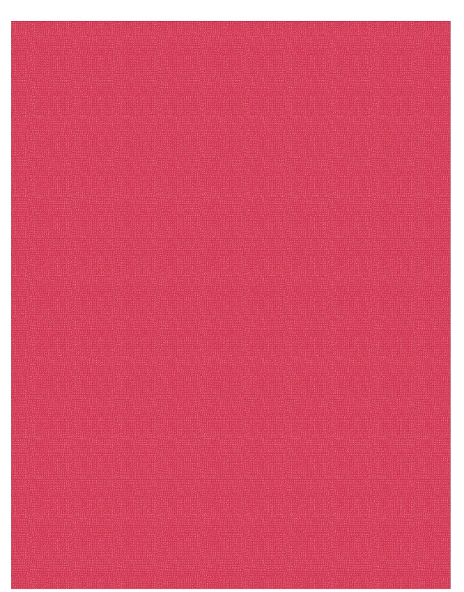 Red - QuickStitch Embroidery Paper - One 8.5in x 11in Sheet- CLOSEOUT