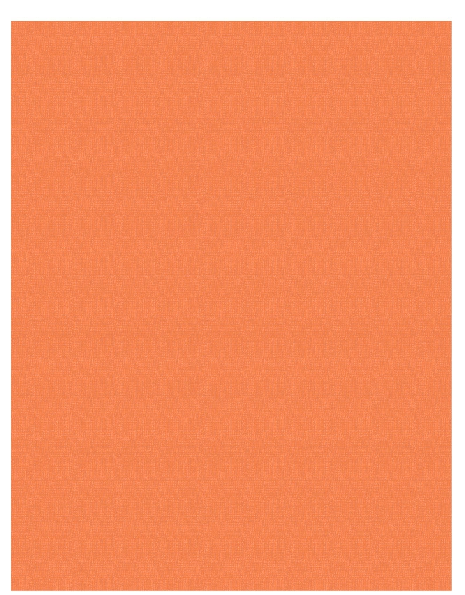 Orange - QuickStitch Embroidery Paper - One 8.5in x 11in Sheet- CLOSEOUT