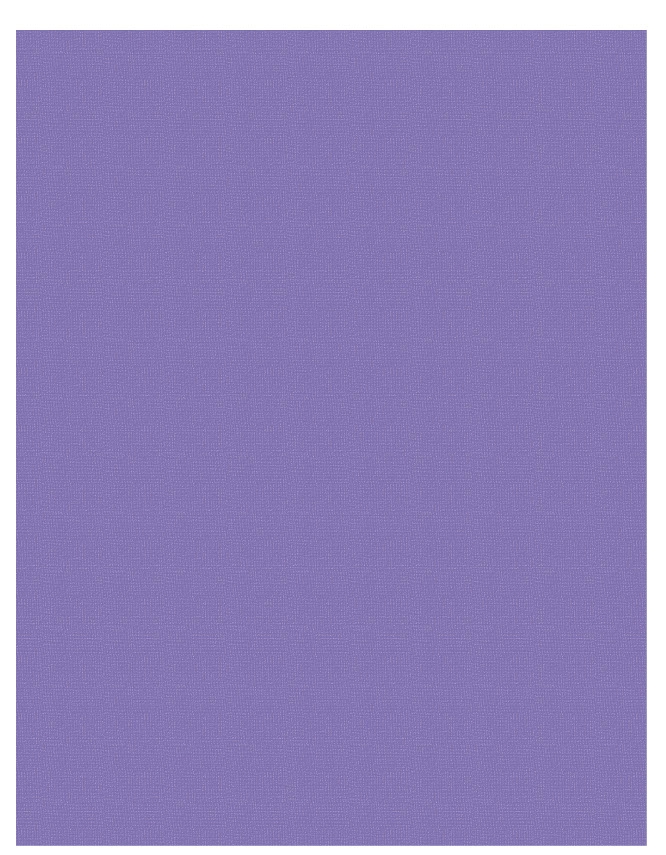 Purple - QuickStitch Embroidery Paper - One 8.5in x 11in Sheet- CLOSEOUT