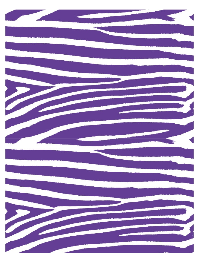Zebra 13 - QuickStitch Embroidery Paper - One 8.5in x 11in Sheet- CLOSEOUT