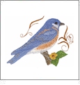 Sweet Songbirds Collection of Embroidery Designs by Dakota Collectibles on a CD-ROM 970397