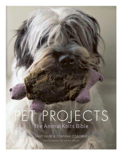 Pet Projects : The Animal Accessory Bible - Paperback