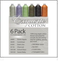 Exquisite Cotton Long Arm Quilting Cotton Thread Assortment Kit #8
