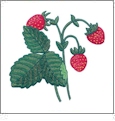 Berry Delicious Embroidery Designs by Amazing Designs on a Multi-Format CD-ROM ADC-189