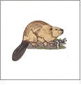Woodland Friends Collection Embroidery Designs by Dakota Collectibles on a CD-ROM 970462
