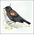 Birds With Scrolls Embroidery Designs by Dakota Collectibles on a CD-ROM 970491