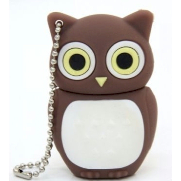 Owl 2 GB USB Flash Drive
