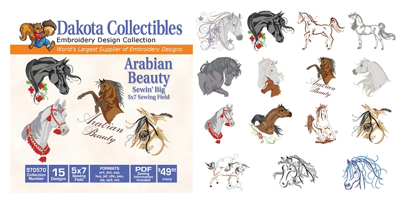 Arabian Beauty Sewin' Big 5x7 Sewing Field Embroidery Designs by Dakota Collectibles on a CD-ROM 970570