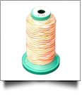 V103 Medley Polyester Embroidery Thread 1000 Meter Spool