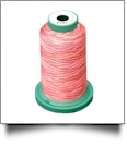 V107 Medley Polyester Embroidery Thread 1000 Meter Spool