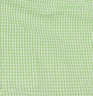 Gingham Pre-Cut Fabric 9" x 55" Piece For Applique - LIME - CLOSEOUT