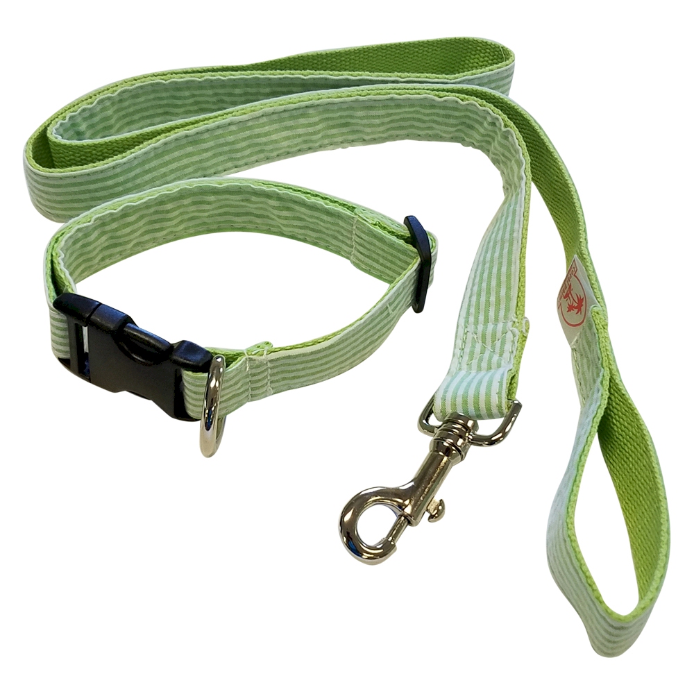 Seersucker 48" Leash & Adjustable Collar Set - LIME