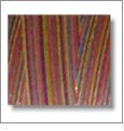 V1025 Carnival Poly-X40 Variegated Embroidery Thread 1000 Meter Spool