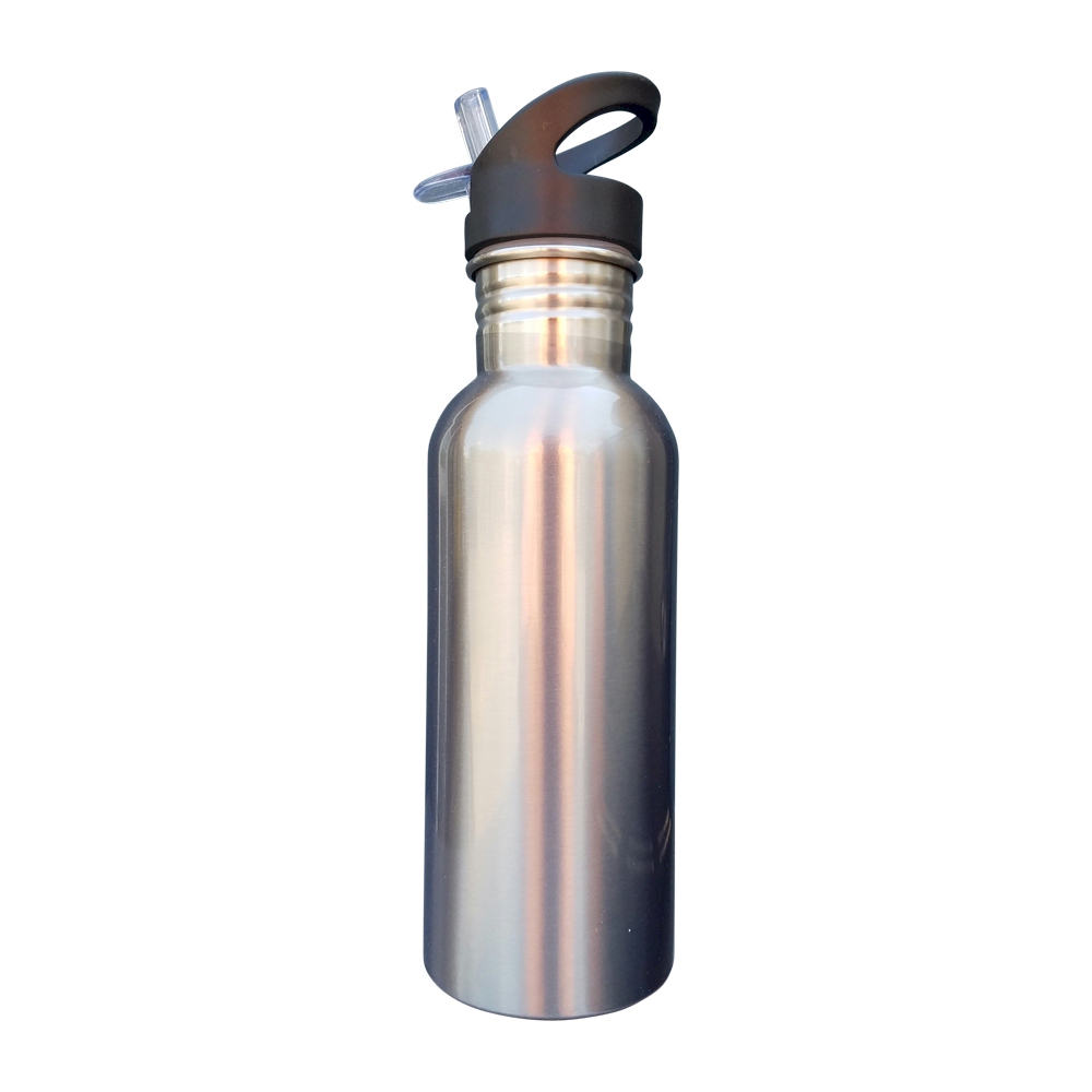 600mL Silver Stainless Steel Water Bottle with Straw Top - STAINLESS STEEL