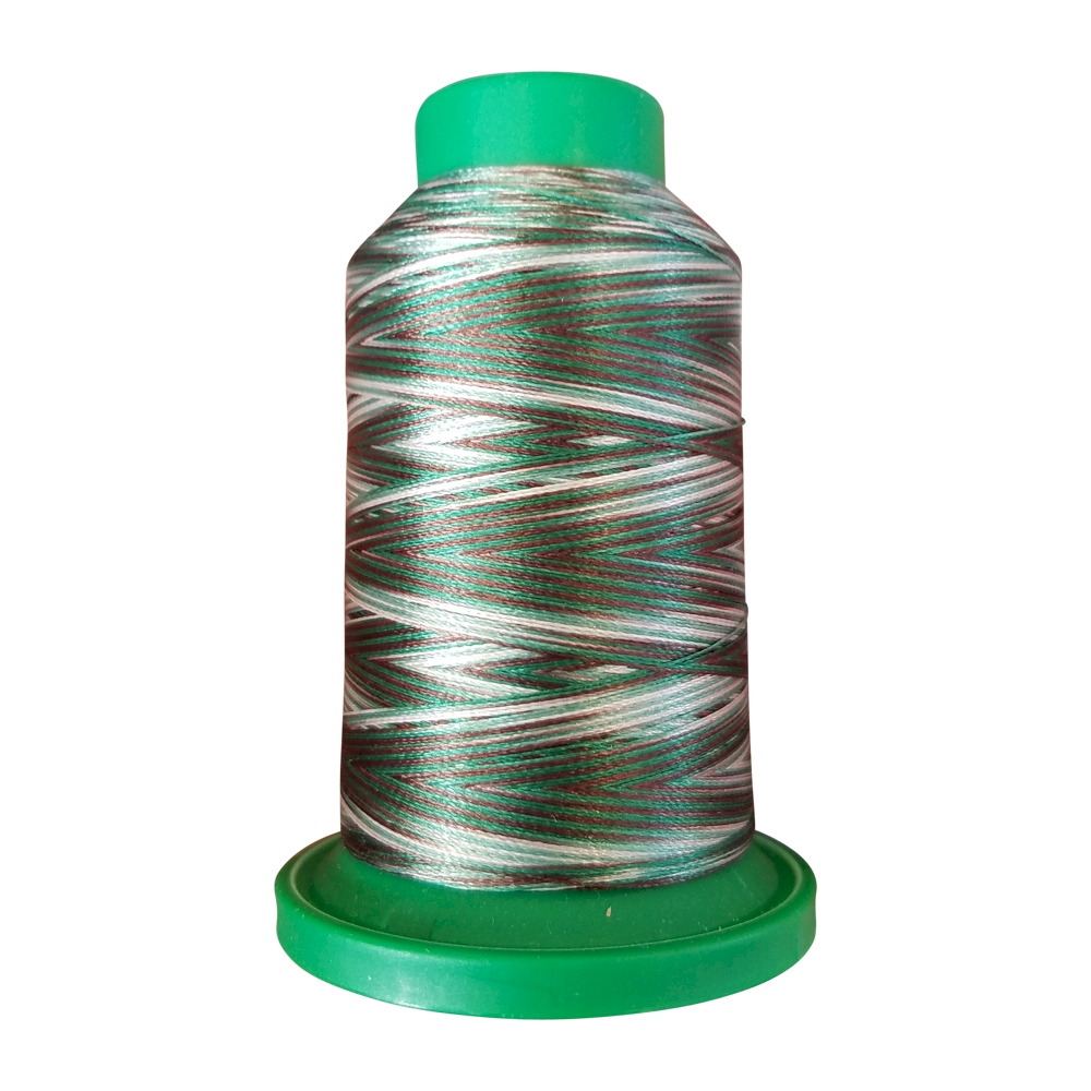 9982 Pine Forest Multicolor Variegated Isacord Embroidery Thread