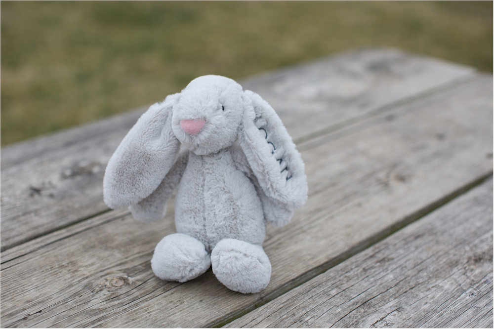long eared plush bunny