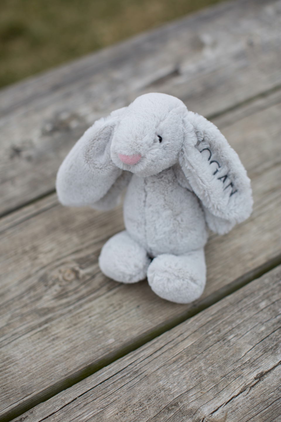 long eared plush bunny