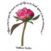 Floral Inspirations 2 Embroidery Designs by Amazing Designs on a Multi-Format CD-ROM ADC-107J