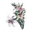 Easter JUMBO Embroidery Designs by Amazing Designs on a Multi-Format CD-ROM ADC-75J