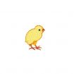 Barnyard Buddies Embroidery Designs by Amazing Designs on a Multi-Format CD-ROM ADP-40