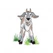 Barnyard Buddies Embroidery Designs by Amazing Designs on a Multi-Format CD-ROM ADP-40
