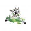 Barnyard Buddies Embroidery Designs by Amazing Designs on a Multi-Format CD-ROM ADP-40