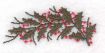 Festive Embroidery Designs by John Deer's Adorable Ideas - Multi-Format CD-ROM AIFES