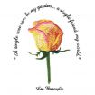 Floral Inspirations 2 Embroidery Designs by Amazing Designs on a Multi-Format CD-ROM ADC-107J