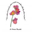 Floral Inspirations 2 Embroidery Designs by Amazing Designs on a Multi-Format CD-ROM ADC-107J