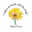 Floral Inspirations 2 Embroidery Designs by Amazing Designs on a Multi-Format CD-ROM ADC-107J