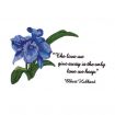 Floral Inspirations 2 Embroidery Designs by Amazing Designs on a Multi-Format CD-ROM ADC-107J
