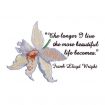 Floral Inspirations 2 Embroidery Designs by Amazing Designs on a Multi-Format CD-ROM ADC-107J