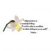 Floral Inspirations 2 Embroidery Designs by Amazing Designs on a Multi-Format CD-ROM ADC-107J