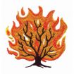 Old Testament Embroidery Designs by Amazing Designs on a Multi-Format CD-ROM ADC-112J