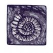 Age of Dinosaurs Embroidery Designs by Amazing Designs on a Multi-Format CD-ROM ADC-114