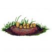 Age of Dinosaurs Embroidery Designs by Amazing Designs on a Multi-Format CD-ROM ADC-114