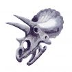 Age of Dinosaurs Embroidery Designs by Amazing Designs on a Multi-Format CD-ROM ADC-114